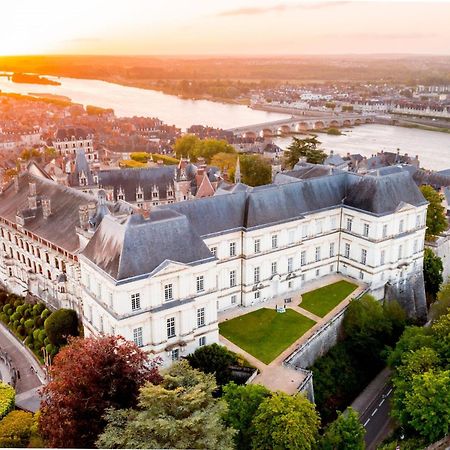 Logis Hotel Du Chateau Tour-en-Sologne Exterior foto
